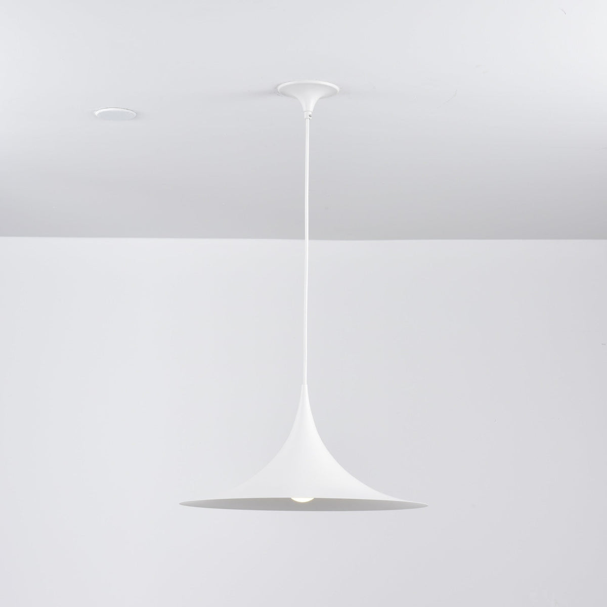 Lioreina Swag Pendant Light