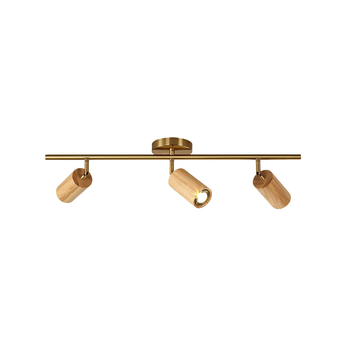 Ginemal Ceiling Light Spotlight