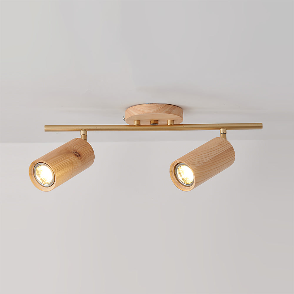 Ginemal Ceiling Light Spotlight