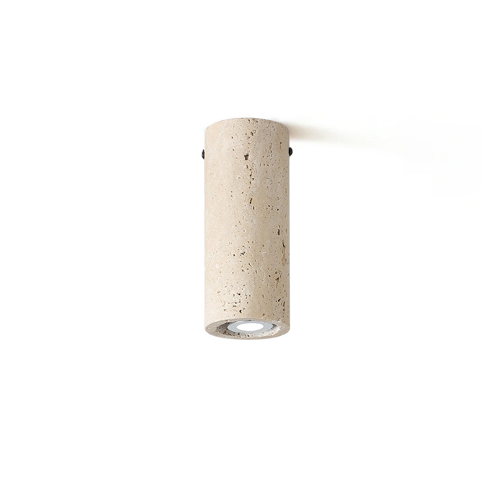 Trevianne Ceiling Light