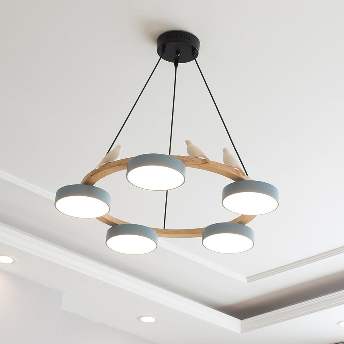 Tokagal Chandelier Bird Round