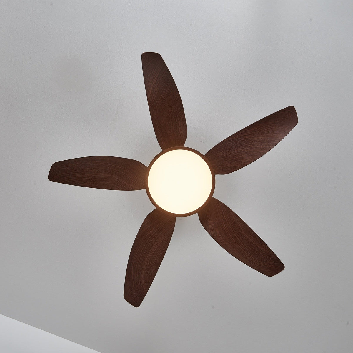 Sylenel Modern Wood Brass Ceiling Fan Light