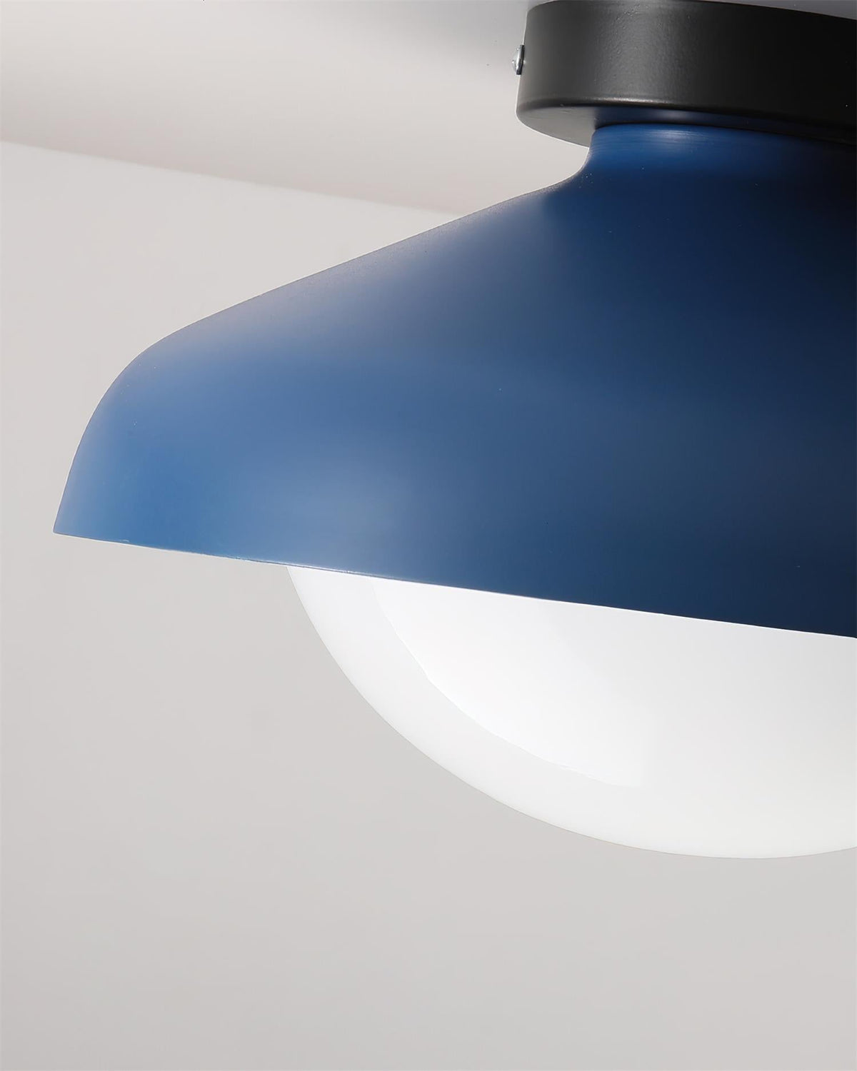 Teriaaya Ceiling Lamp