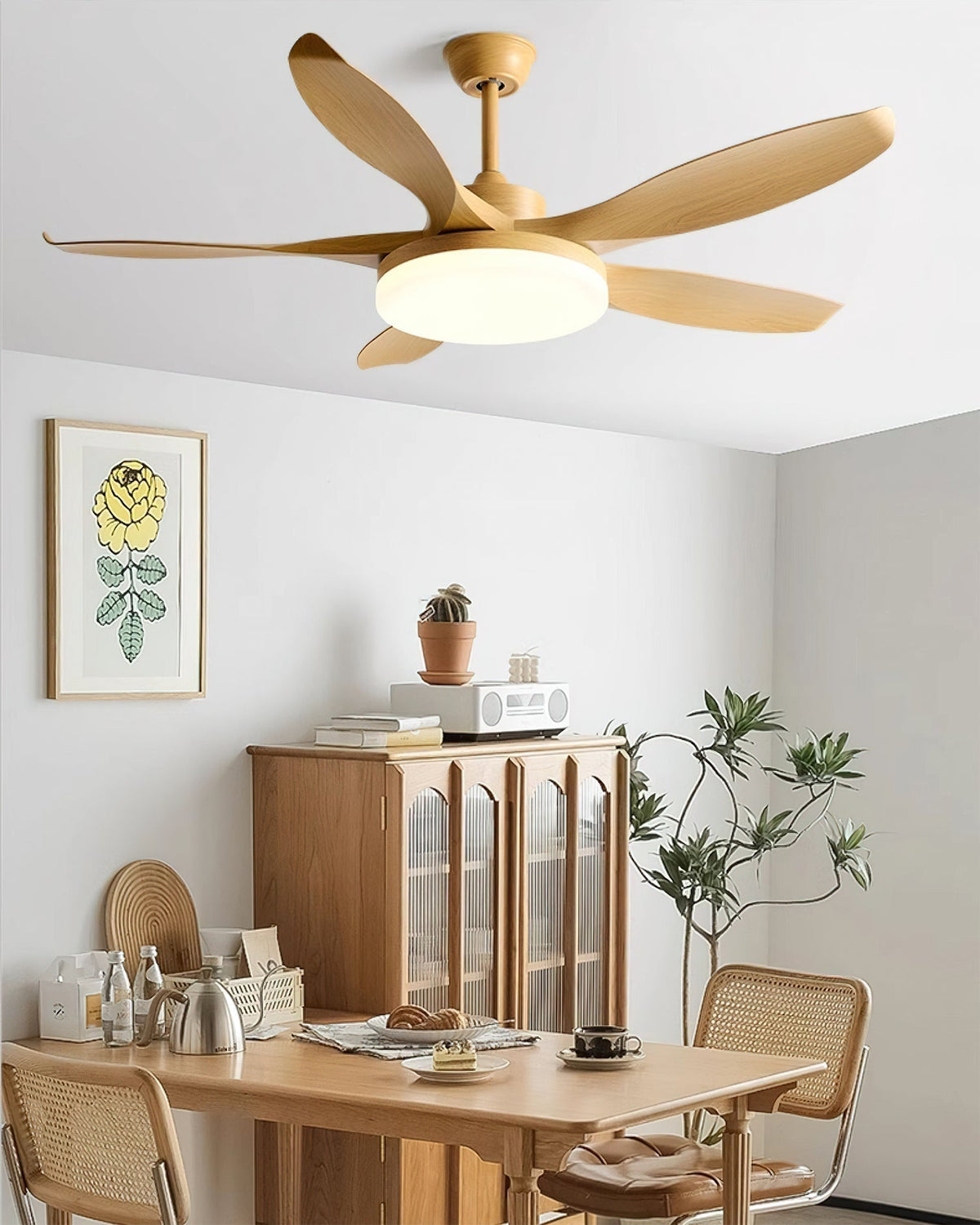 Liororeria Ceiling Fan Light