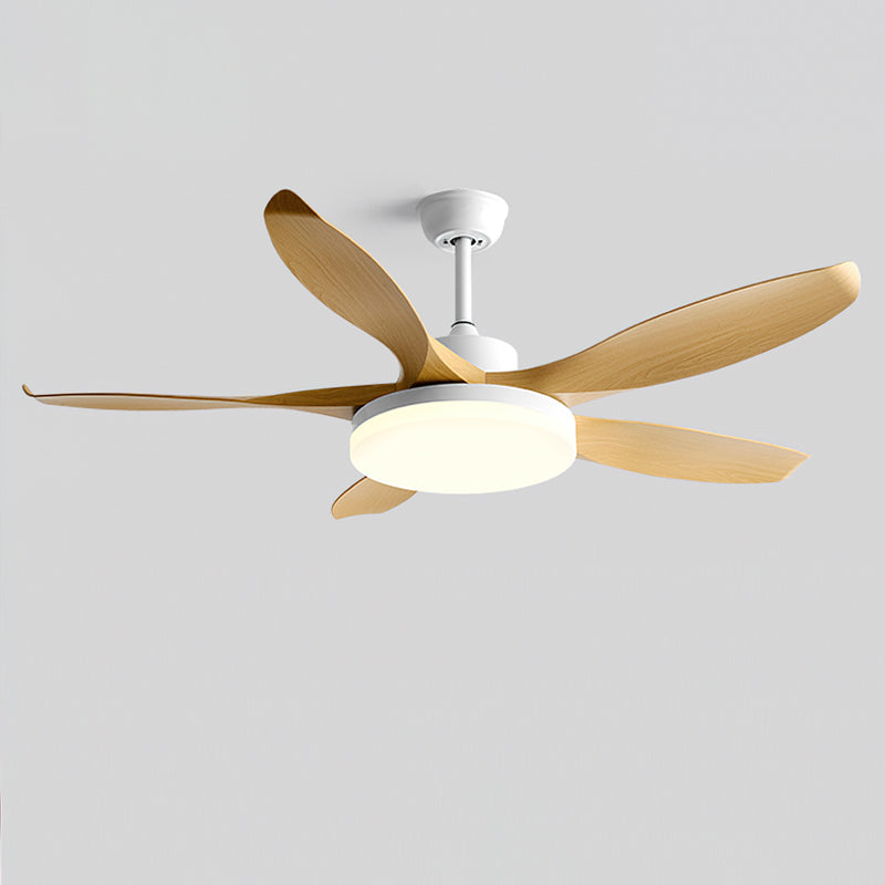 Liororeria Ceiling Fan Light