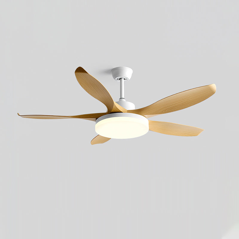 Liororeria Ceiling Fan Light