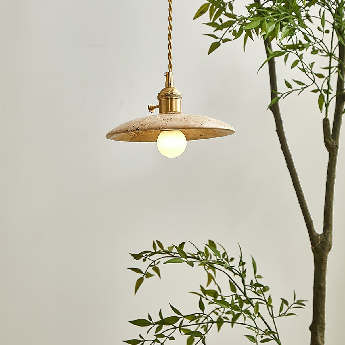 Calisia Pendant Light