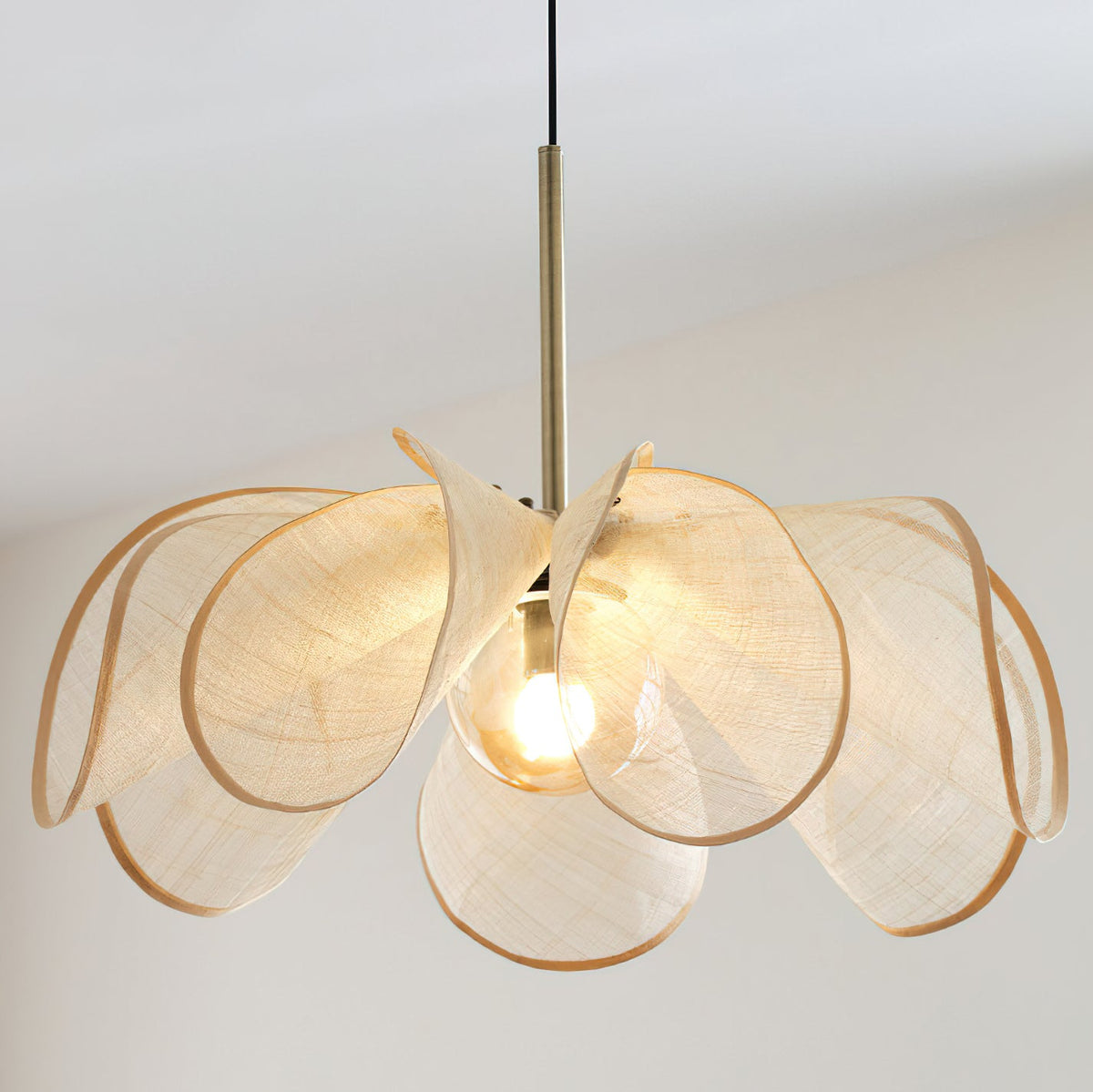 Evelora Pendant Light