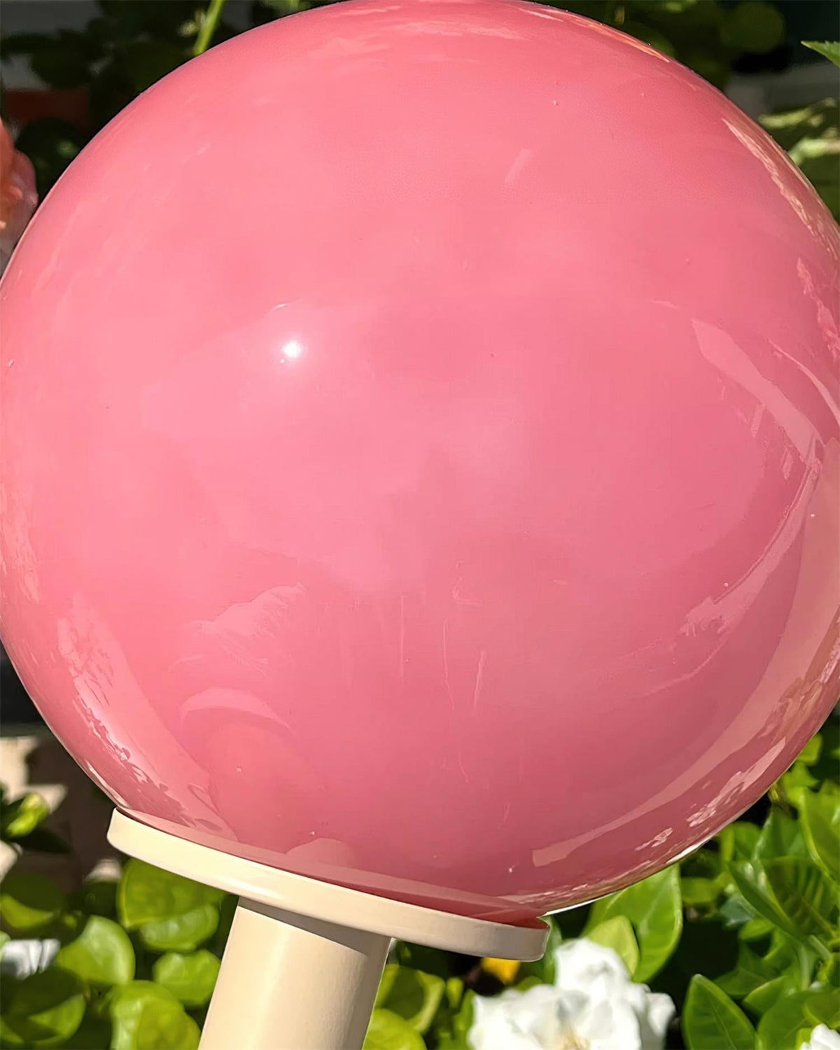 Viraoiella Table Lamp