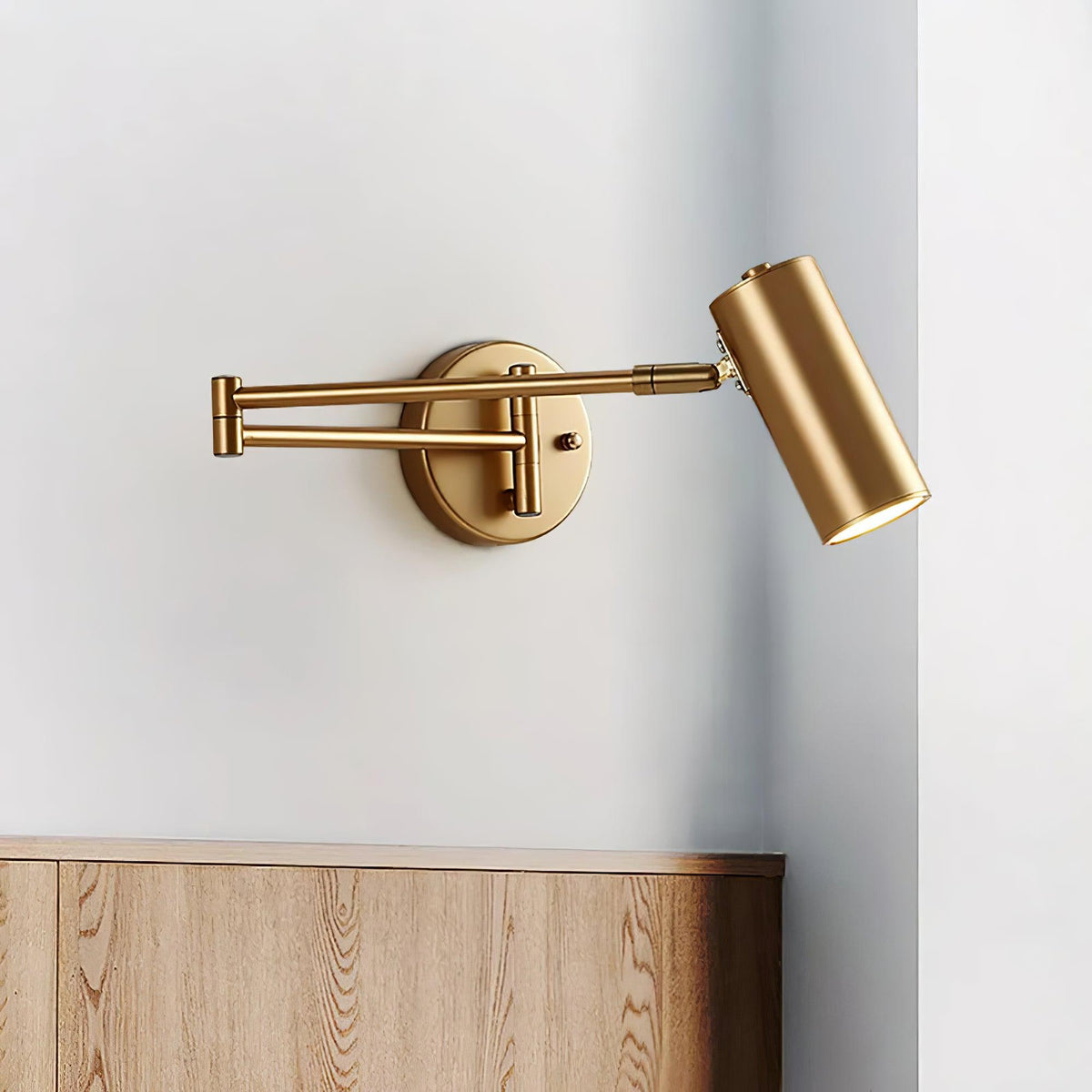 Padenis Adjustable Swing Arm Wall Lamp
