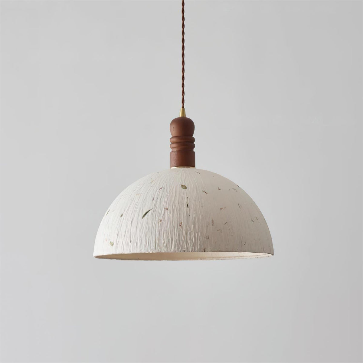 Lioroine Dome Pendant Lamp