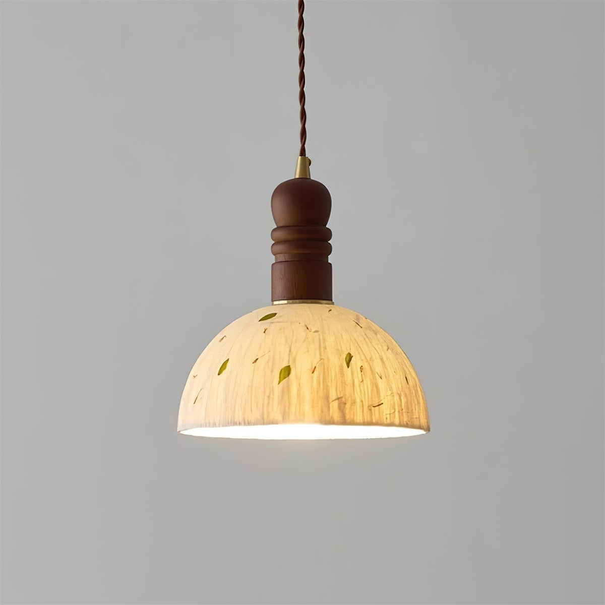 Lioroine Dome Pendant Lamp