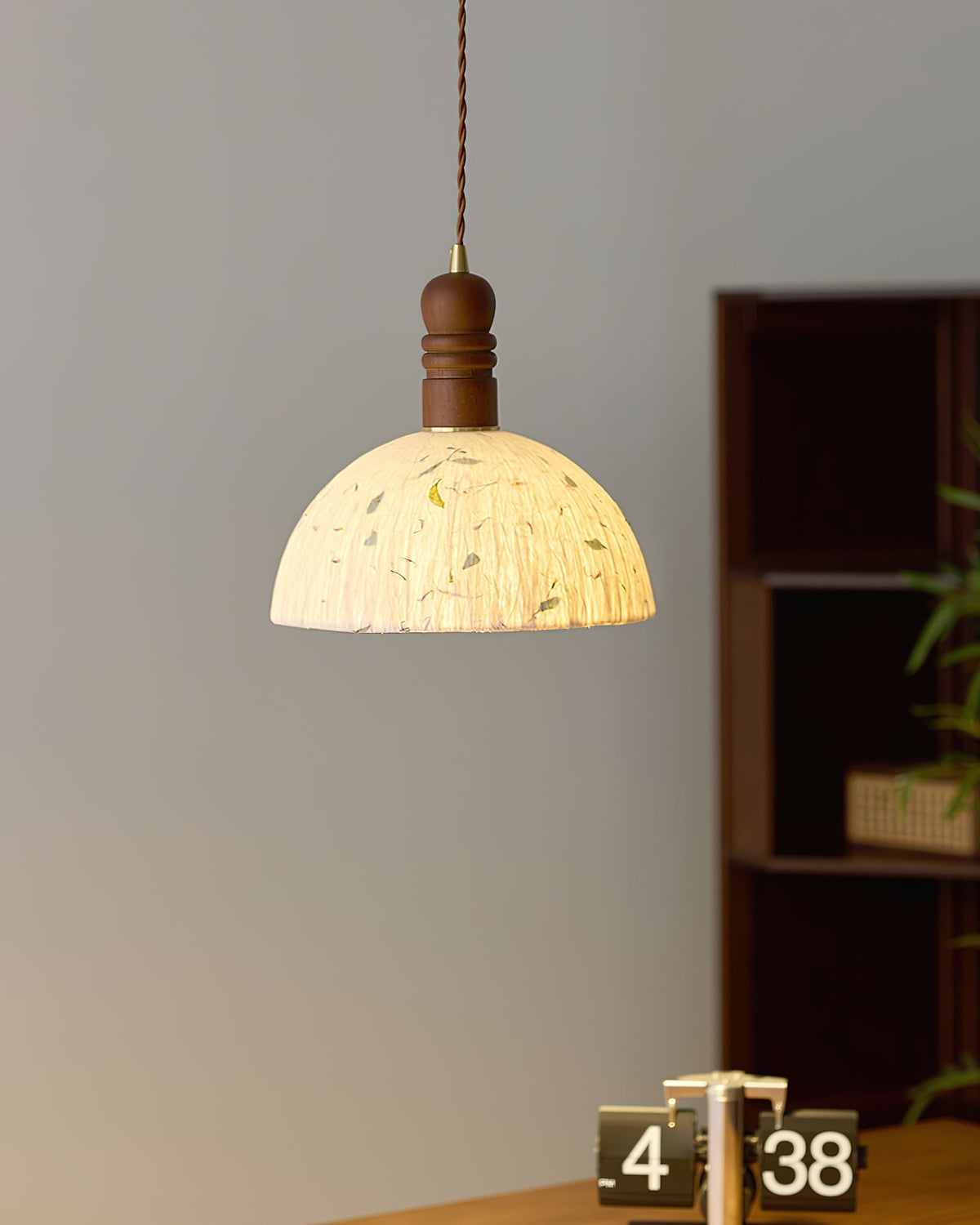 Lioroine Dome Pendant Lamp