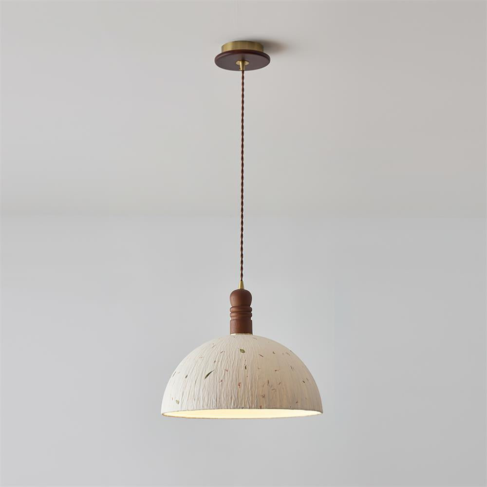 Lioroine Dome Pendant Lamp