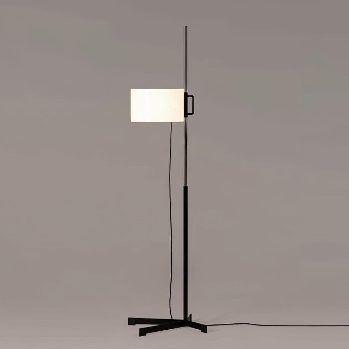 Reniselia Floor Lamp