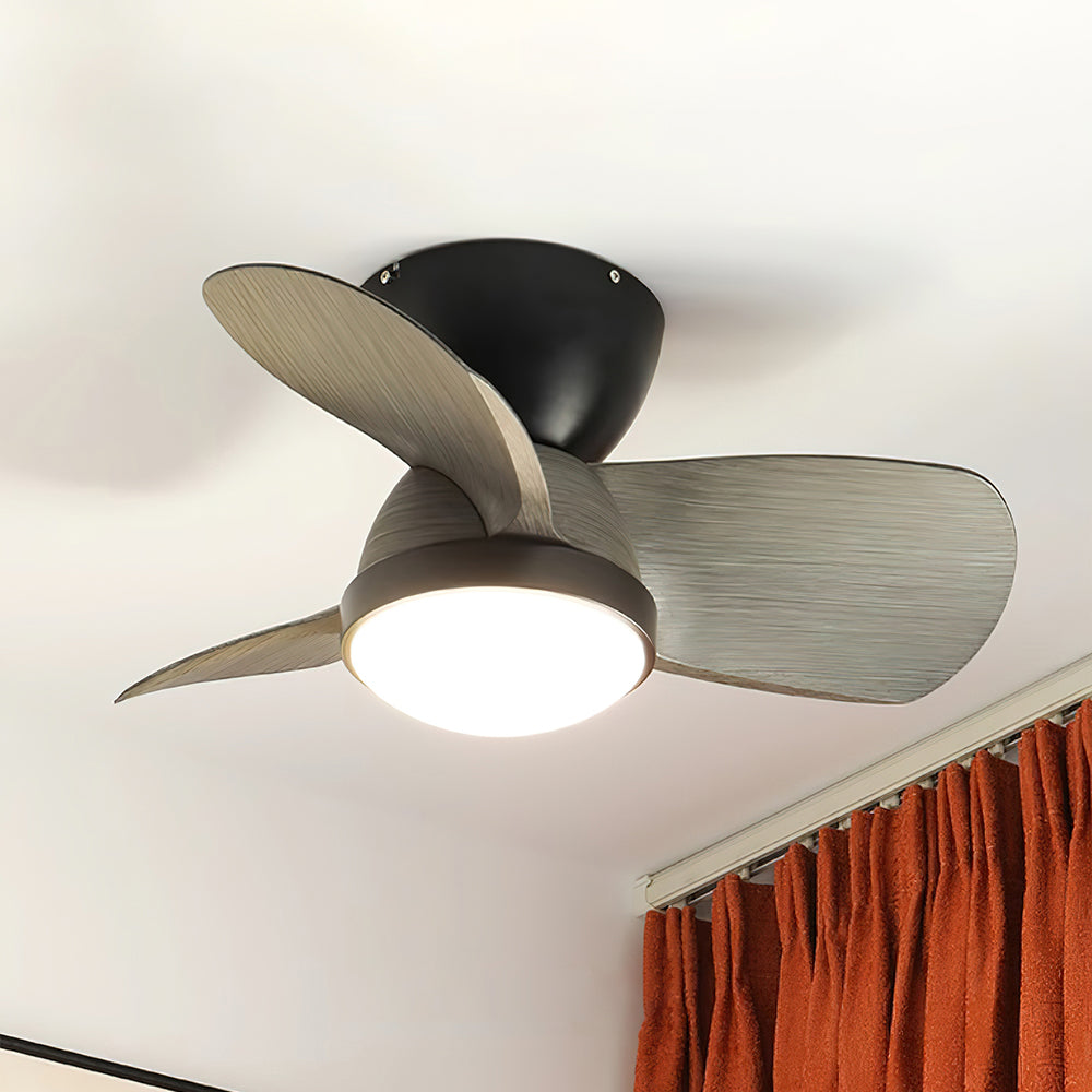Lioraleria Ceiling Fan Light