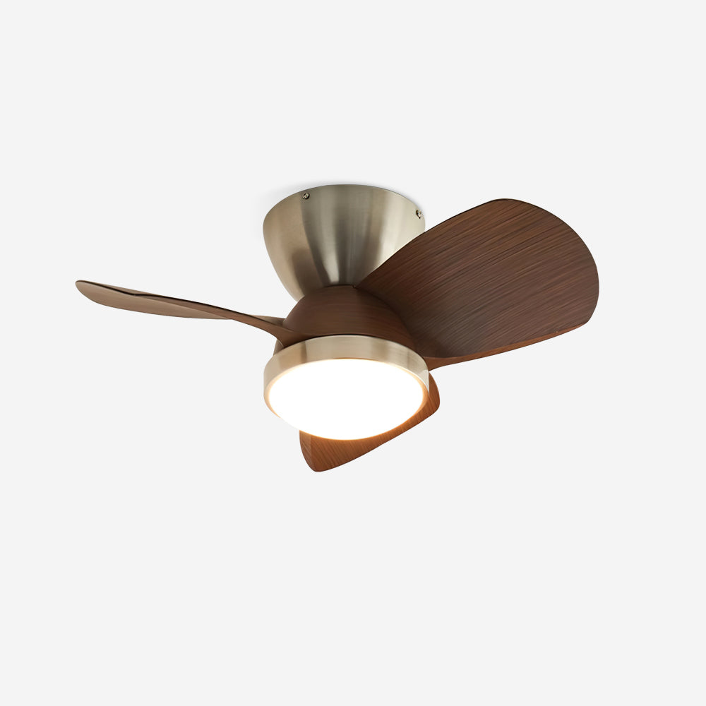 Lioraleria Ceiling Fan Light