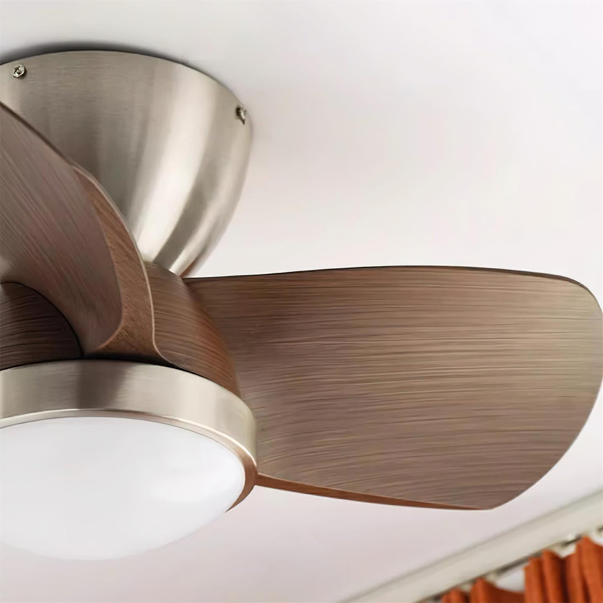 Lioraleria Ceiling Fan Light