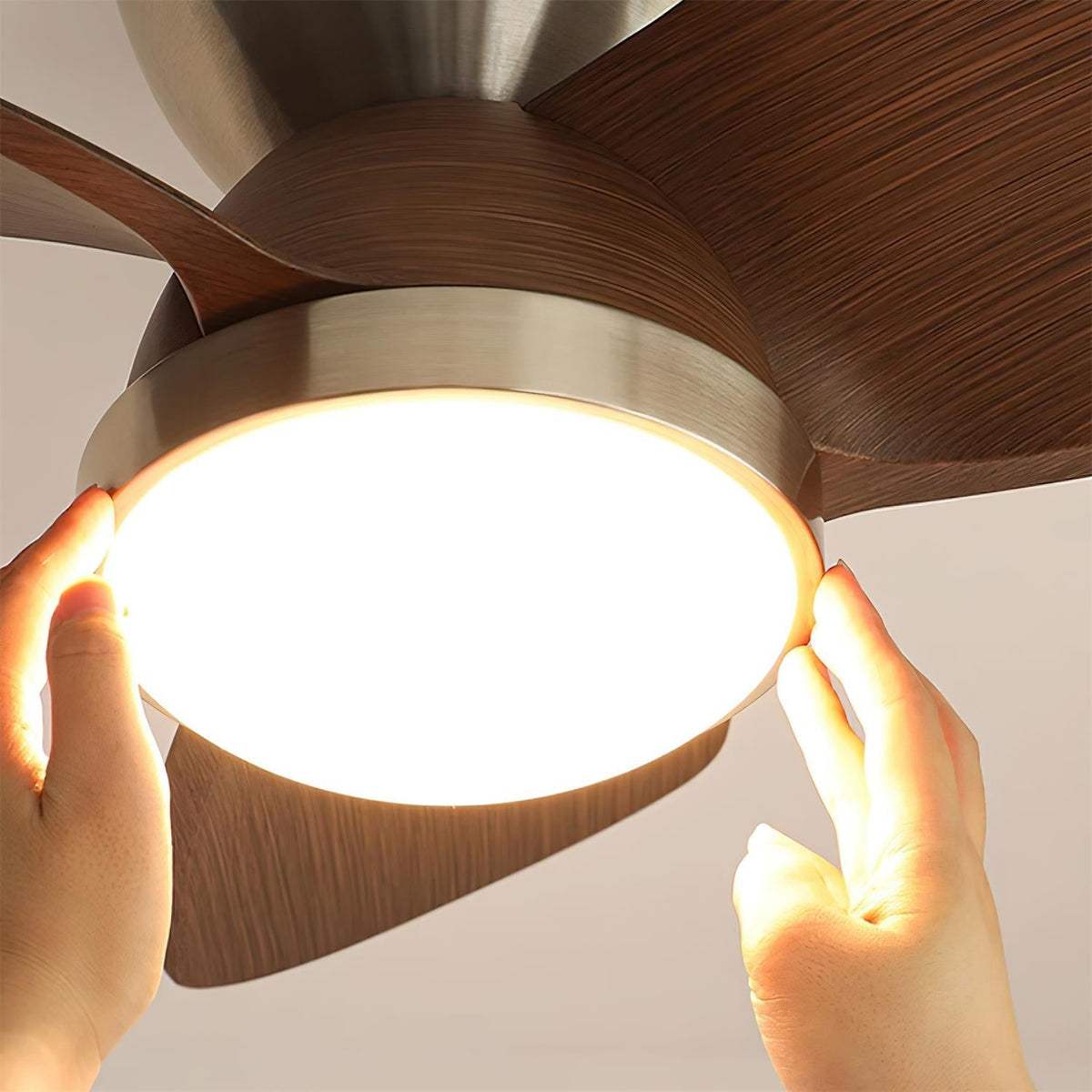Lioraleria Ceiling Fan Light