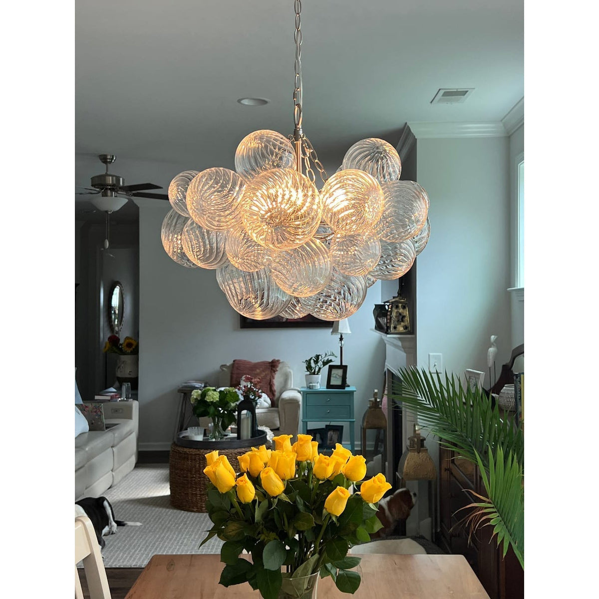 Resonel Chandelier