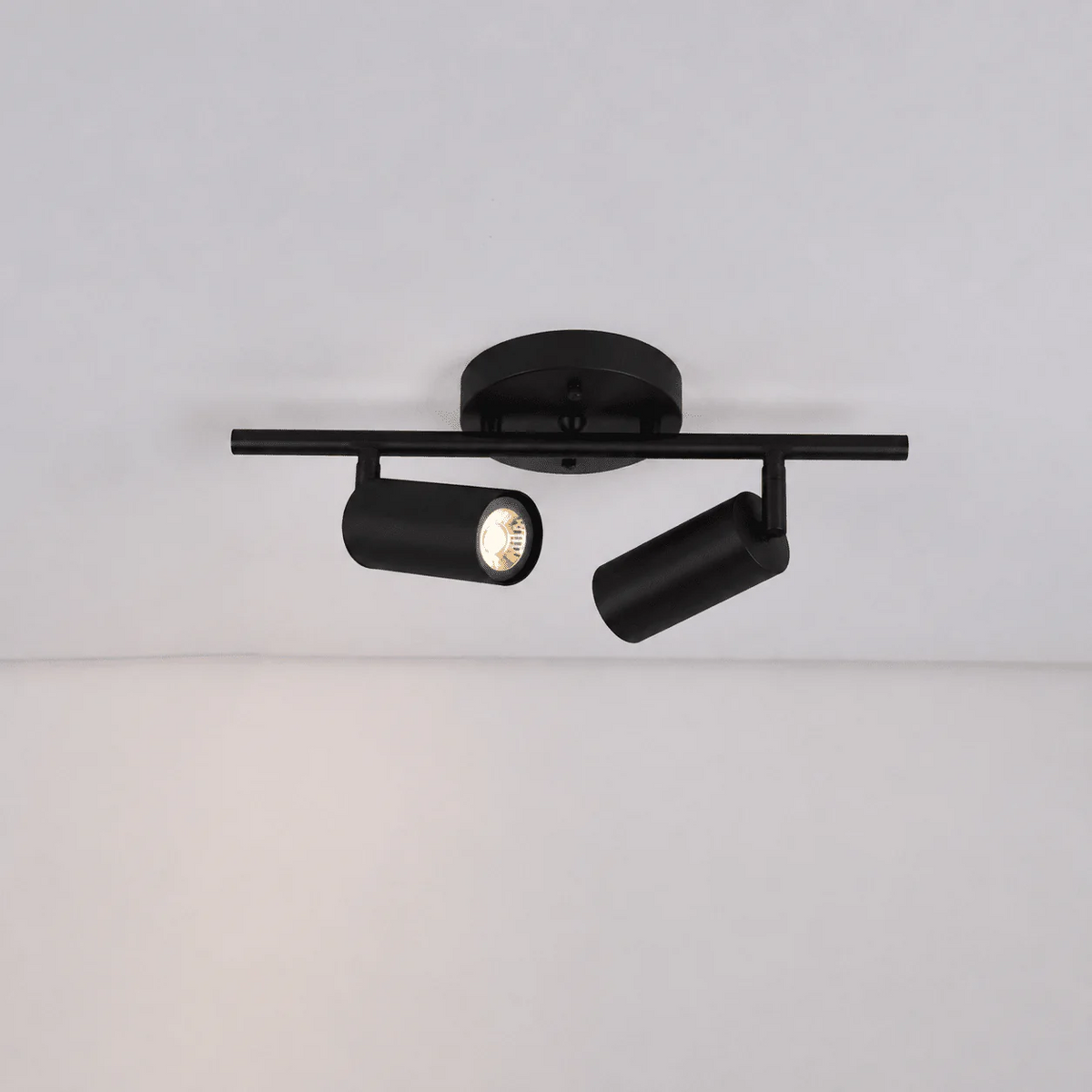 Mirelella Axis Wall/Ceiling Lamp