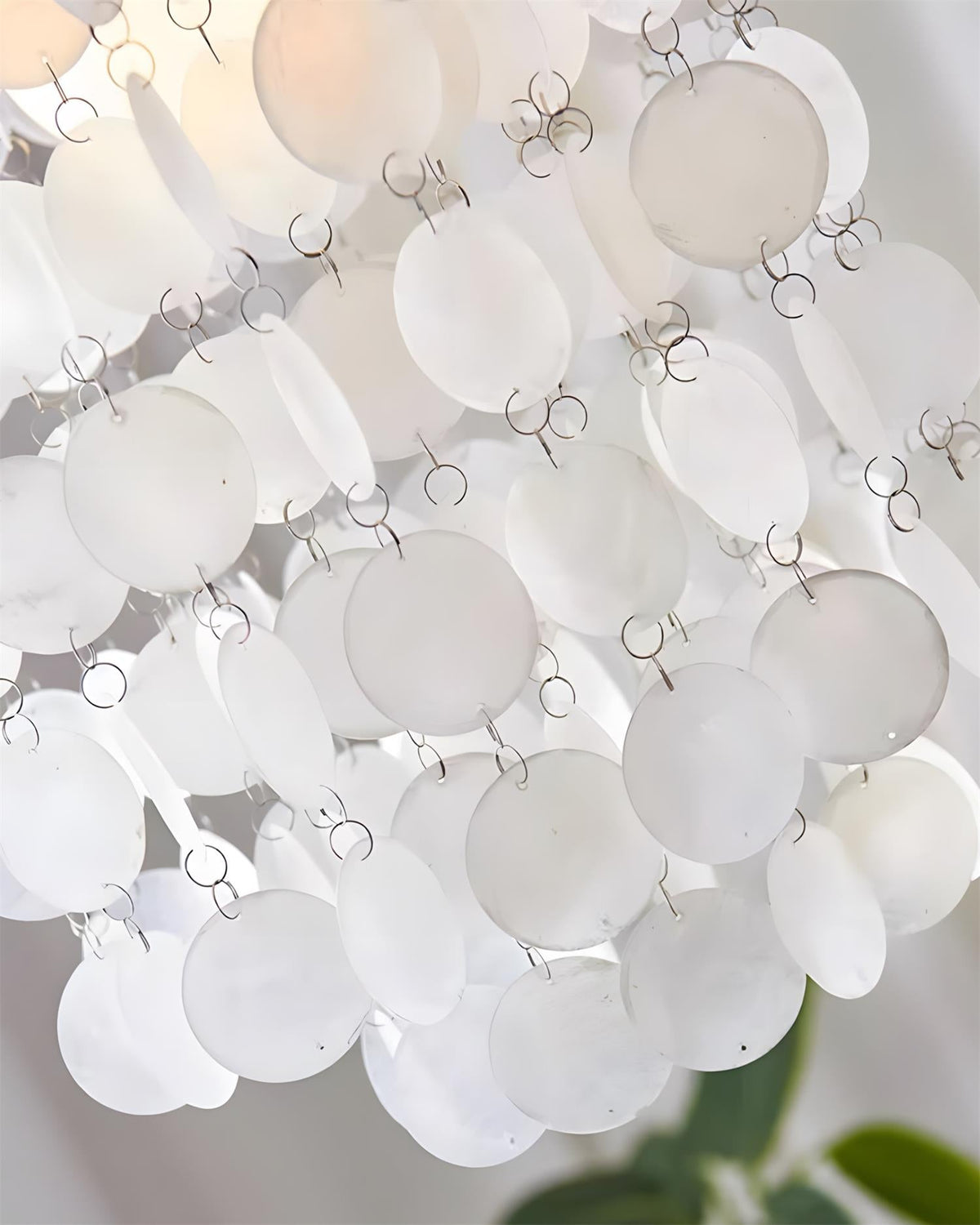 Coralian Shell Chandelier