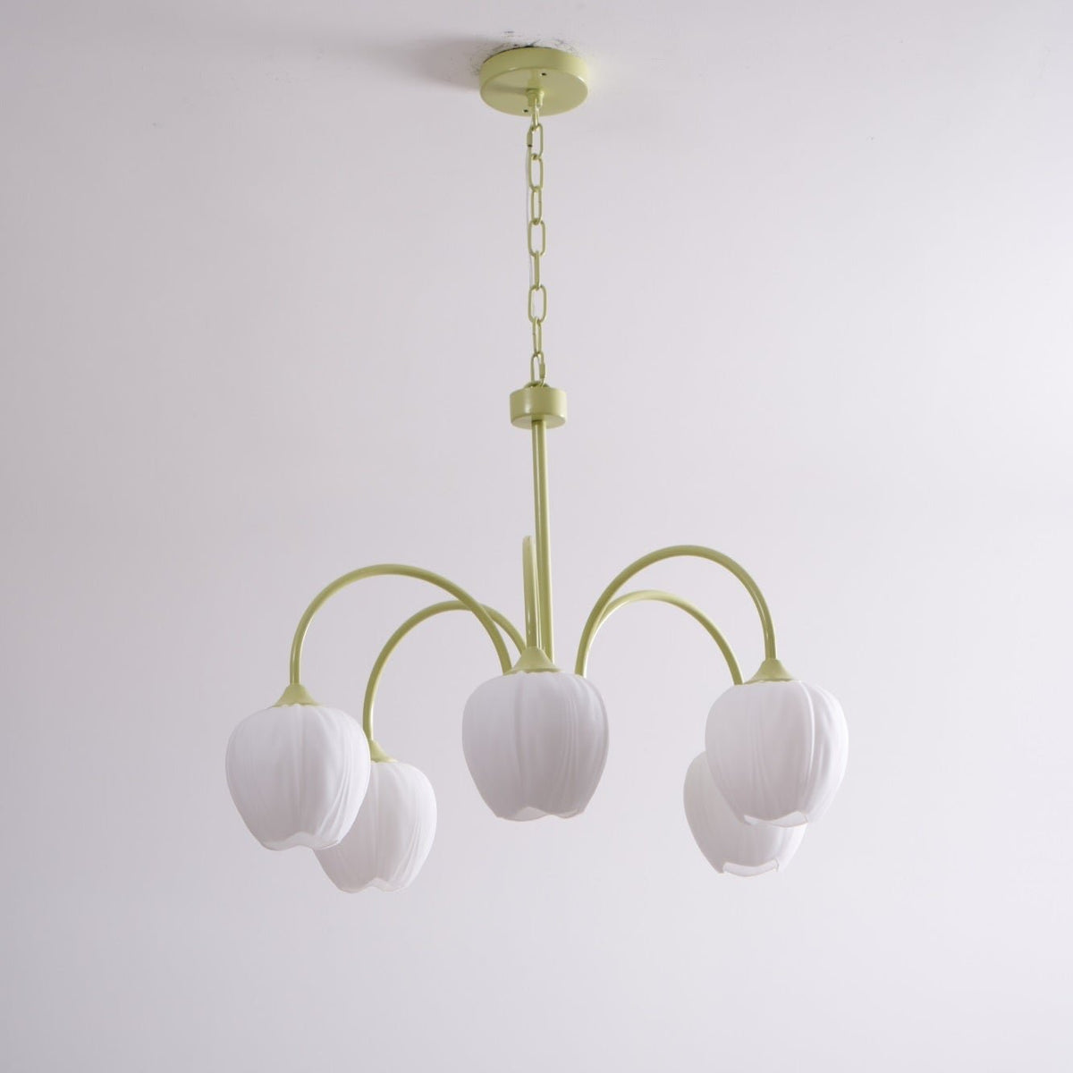 Guvitud Fresh Chandeliers Glass