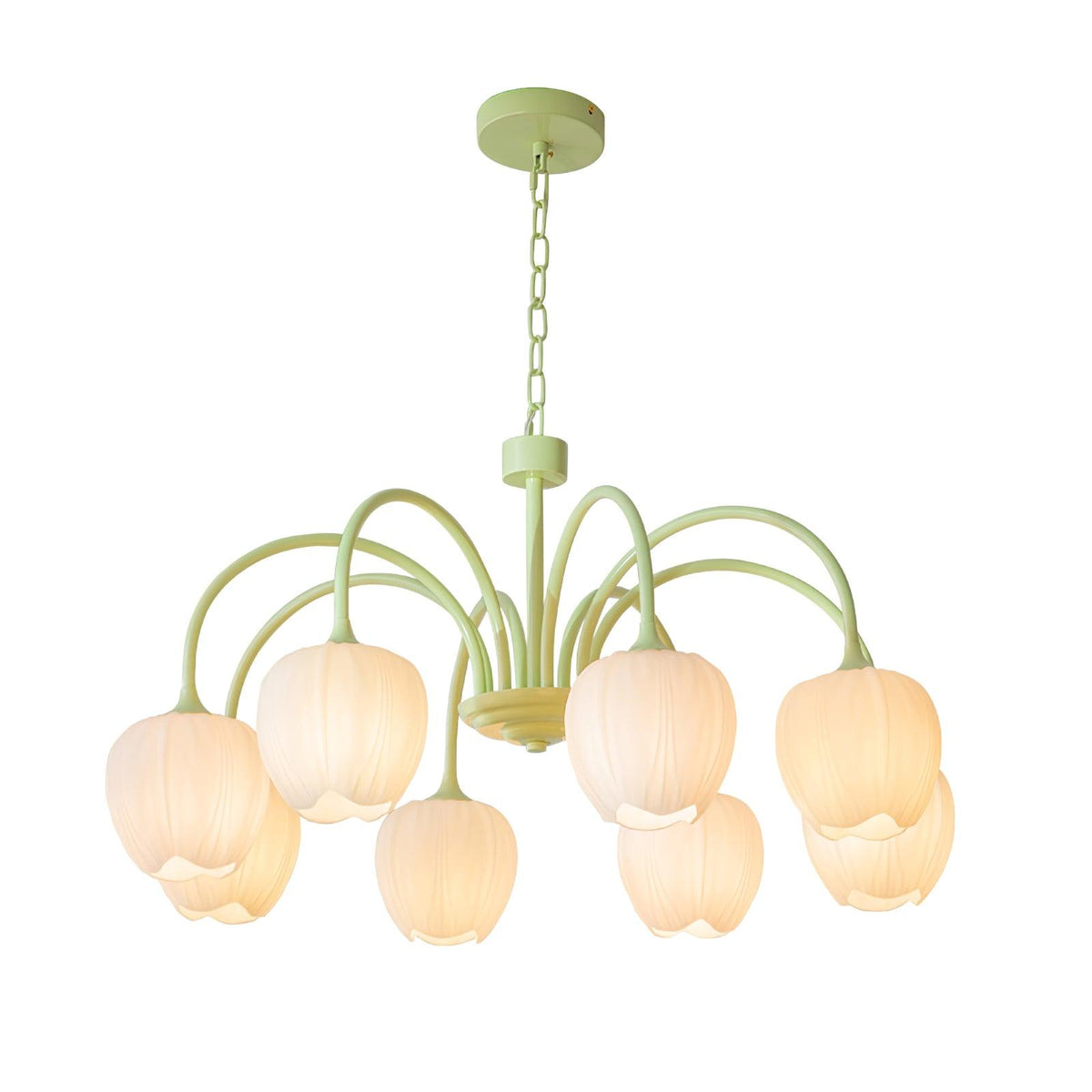 Fairmere Tulip Matcha Chandelier