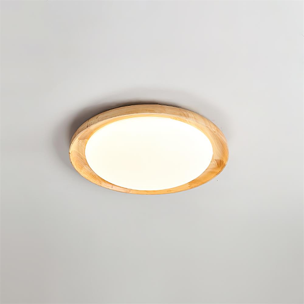 Ciraina Edge Ceiling Lamp