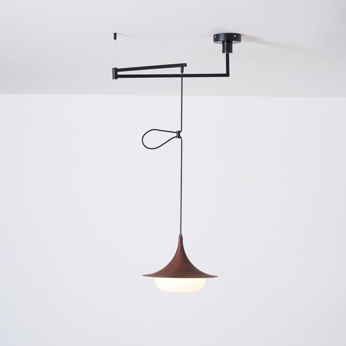 Selanenne Pendant Light