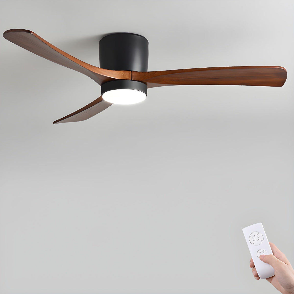 Miroise Ceiling Fan Light