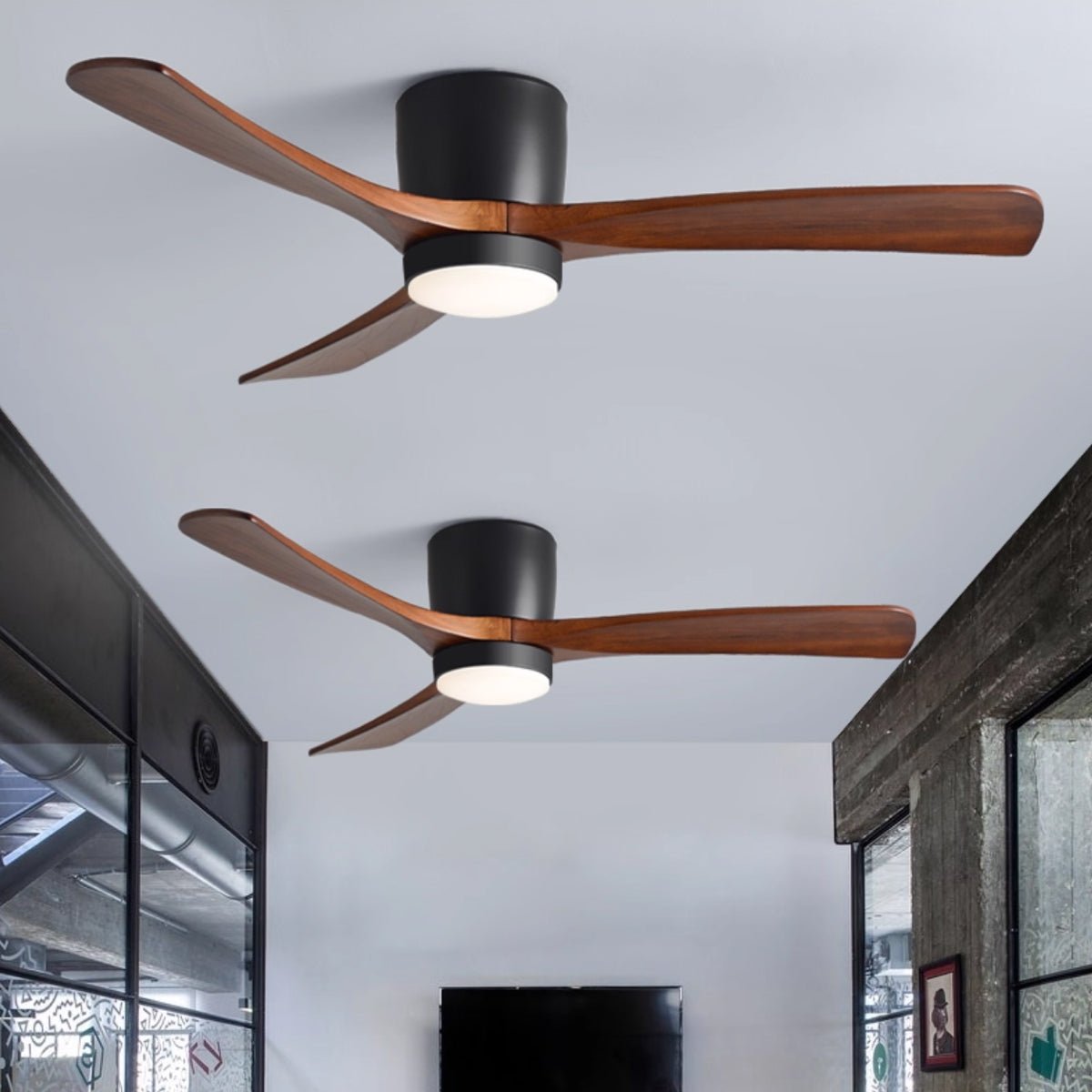 Miroise Ceiling Fan Light