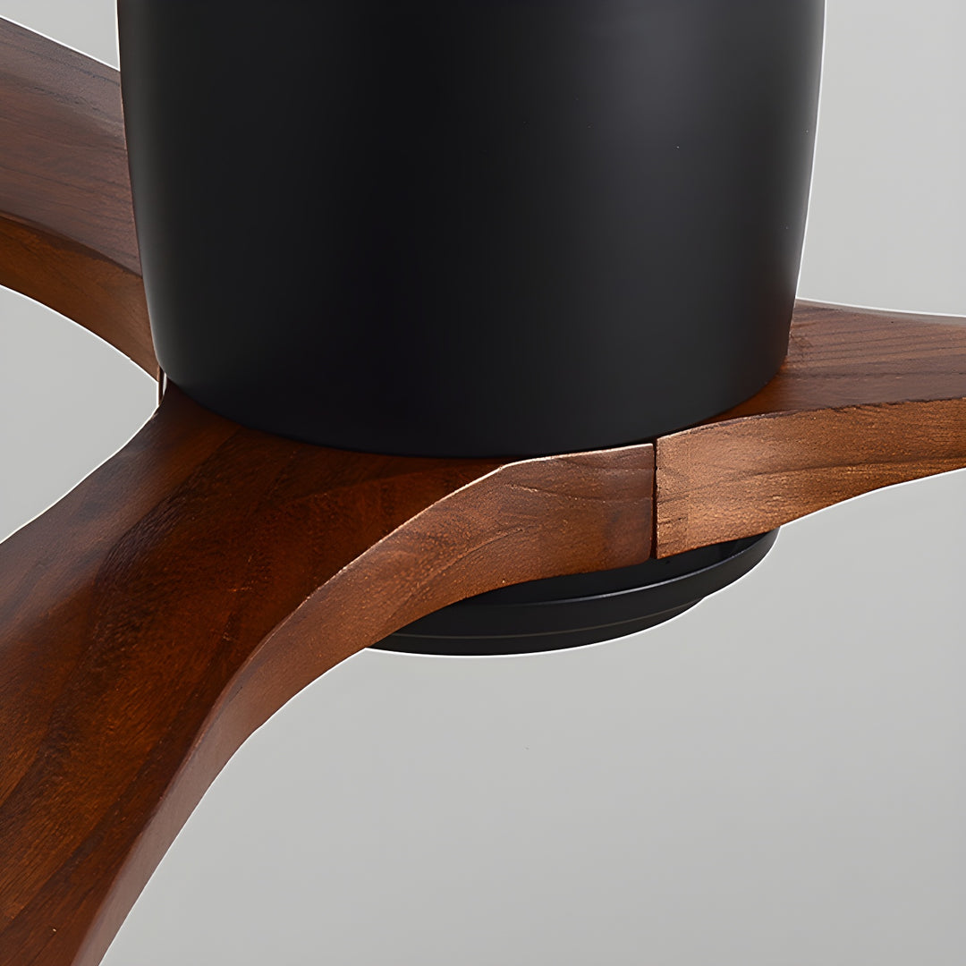 Miroise Ceiling Fan Light