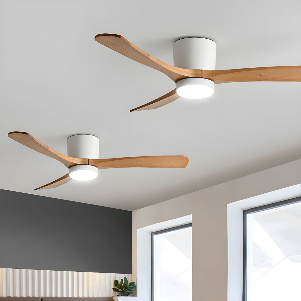 Miroise Ceiling Fan Light