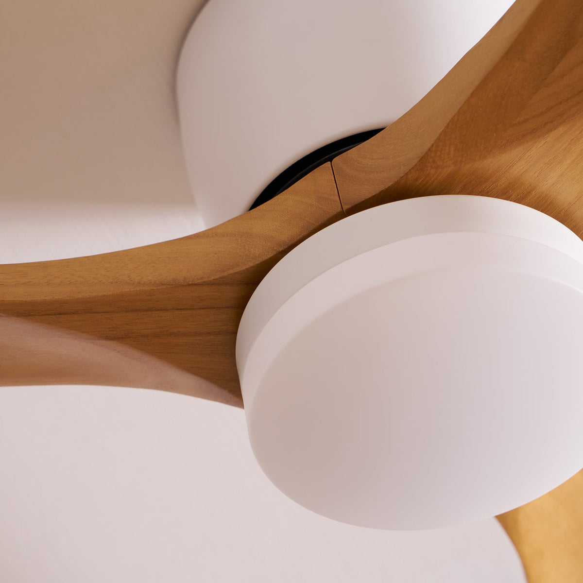 Miroise Ceiling Fan Light