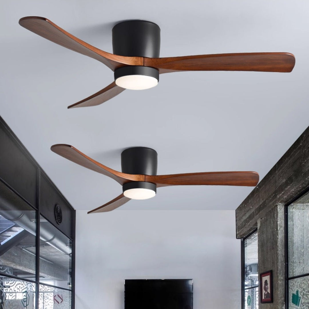 Miroise Ceiling Fan Light