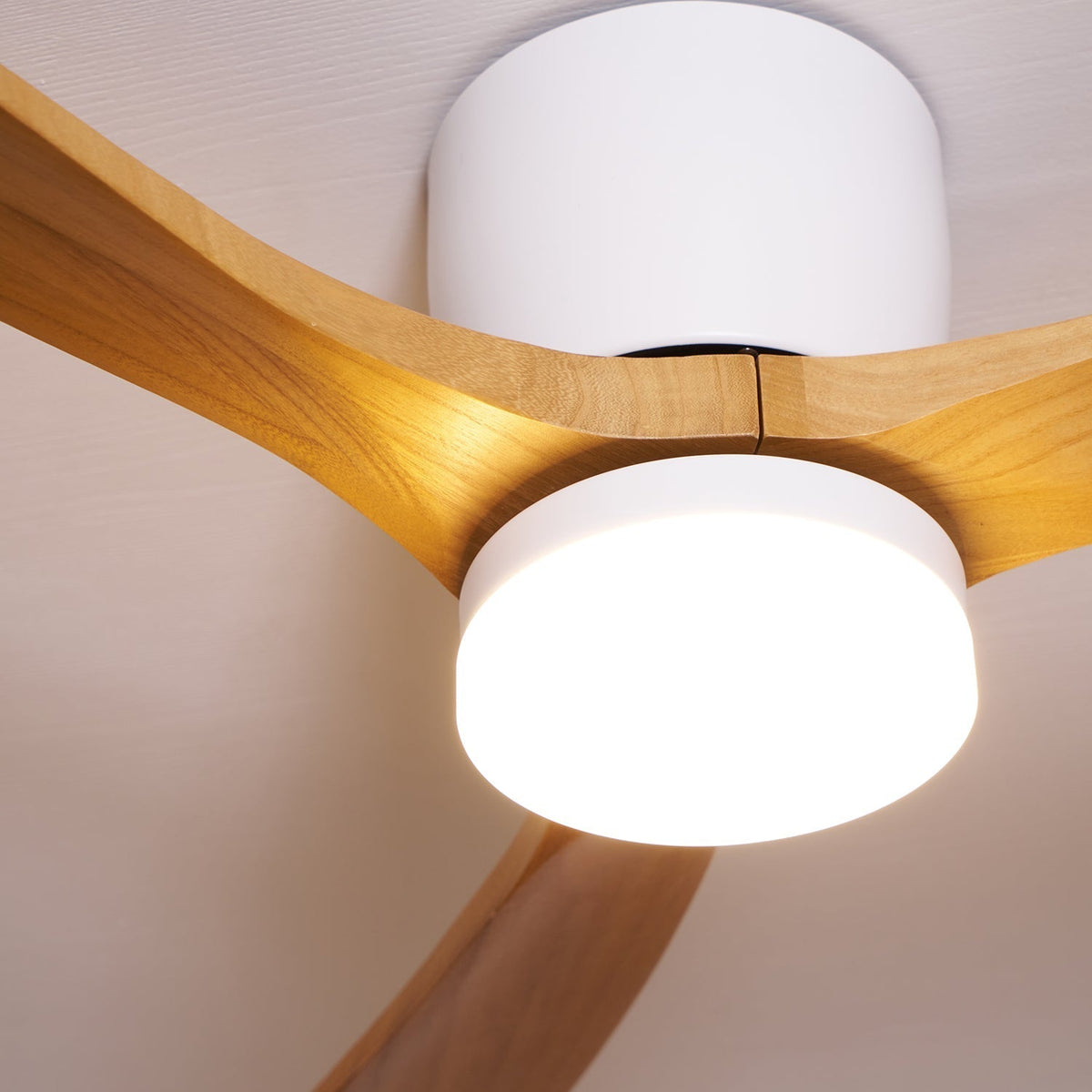 Miroise Ceiling Fan Light