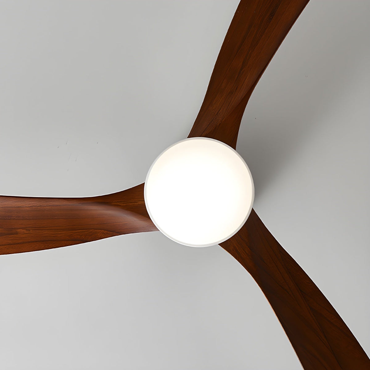 Miroise Ceiling Fan Light