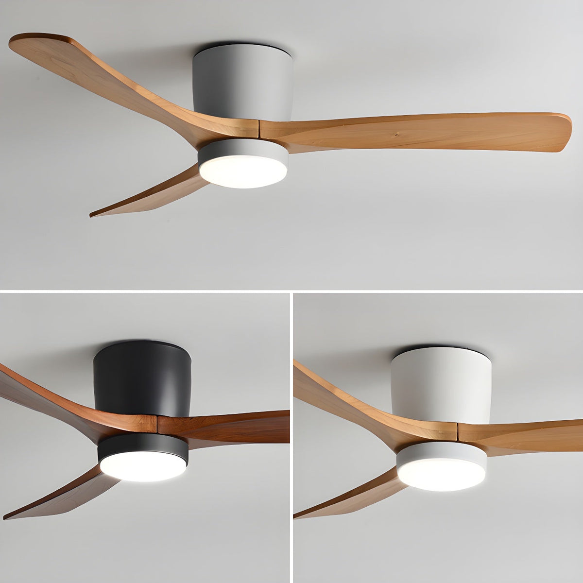 Miroise Ceiling Fan Light