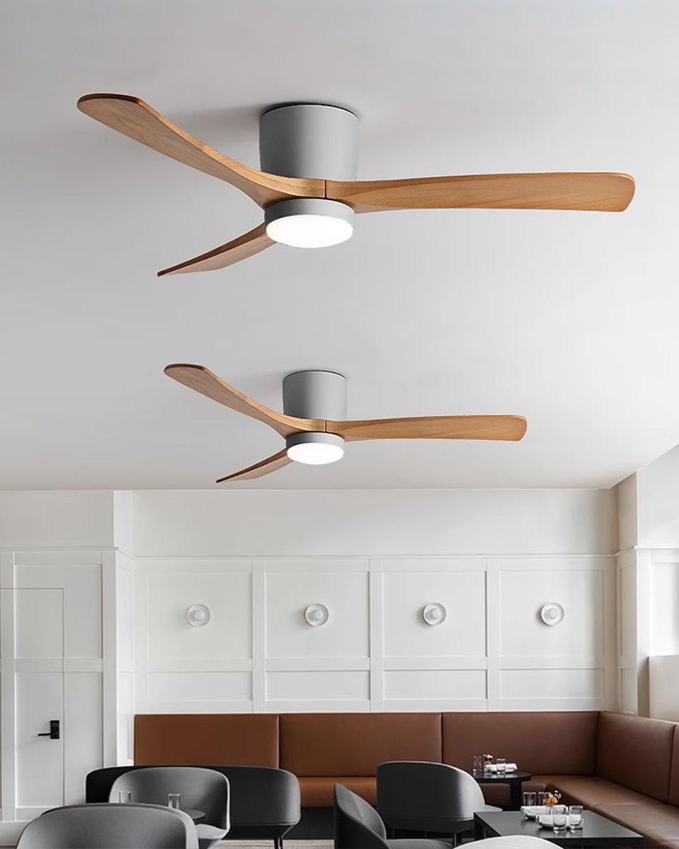 Miroise Ceiling Fan Light