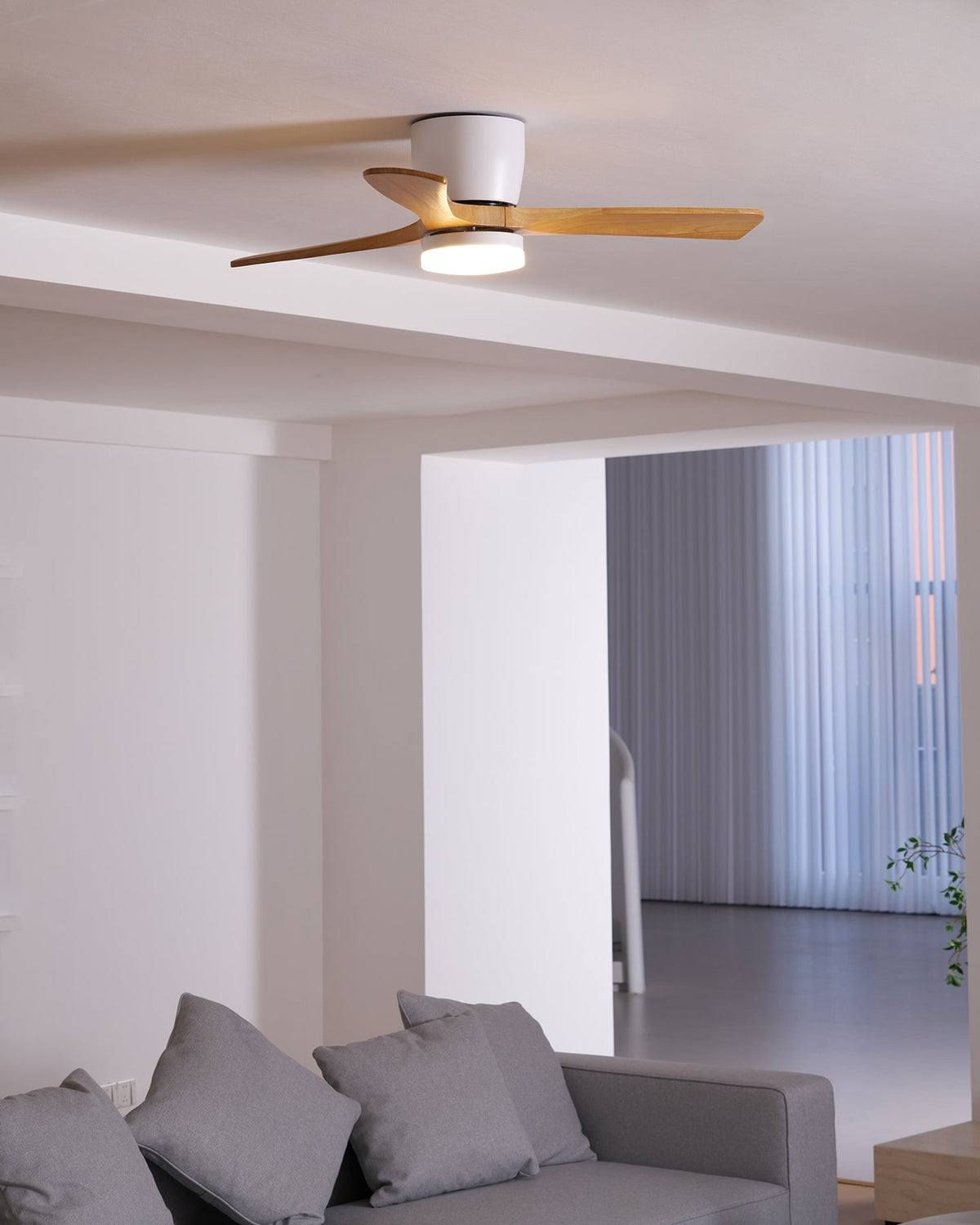 Miroise Ceiling Fan Light