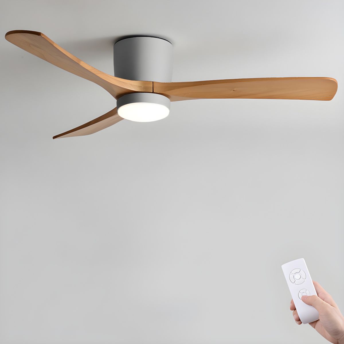 Miroise Ceiling Fan Light