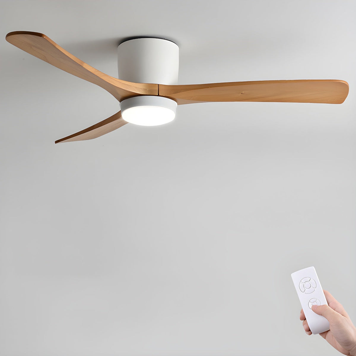 Miroise Ceiling Fan Light