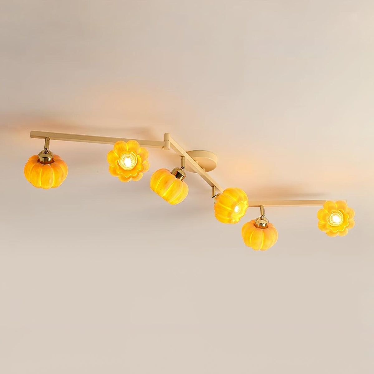 Sororeon Ceiling Light
