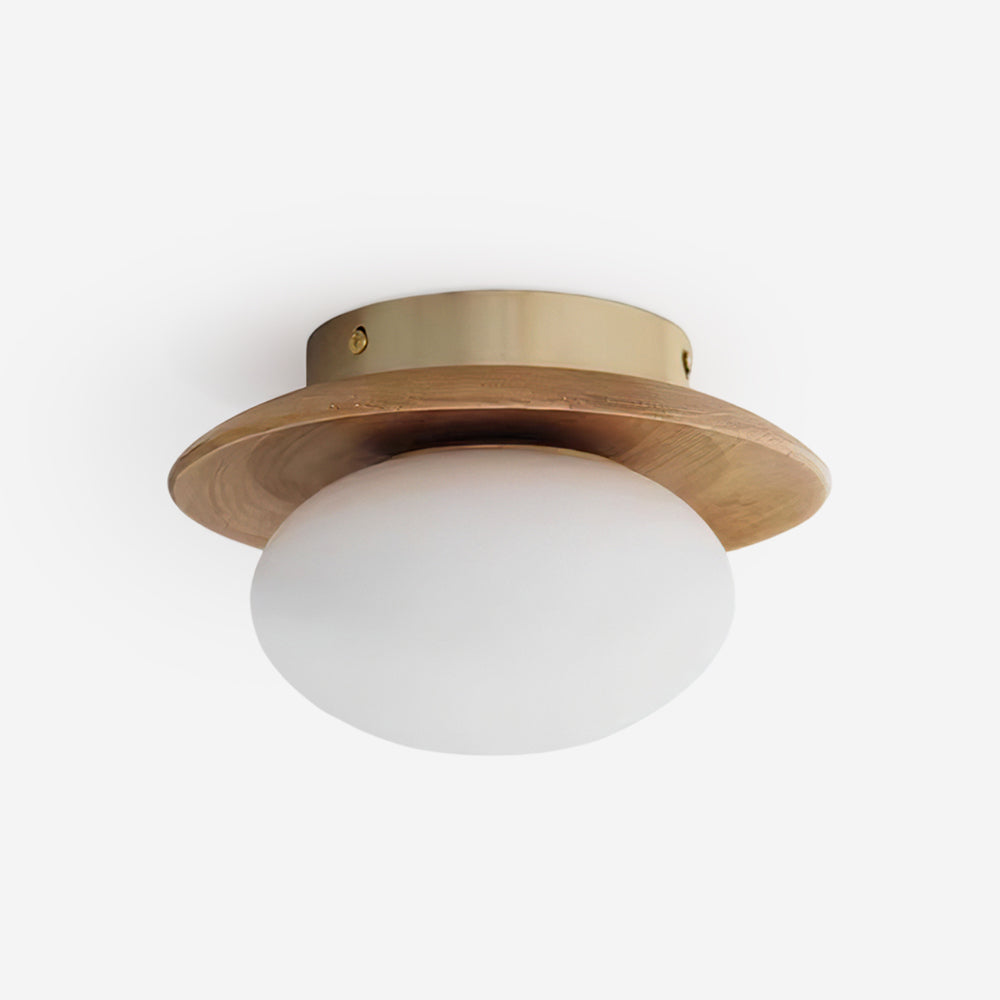 Avenoreria Ceiling Light