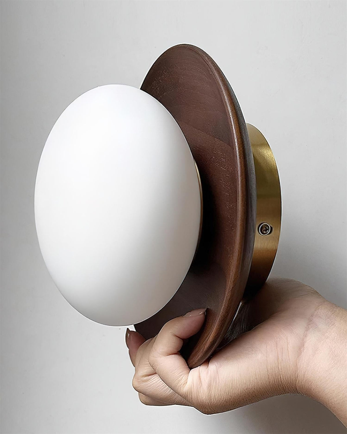 Avenoreria Ceiling Light