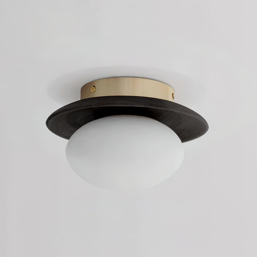 Avenoreria Ceiling Light