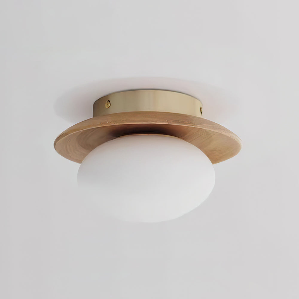 Avenoreria Ceiling Light