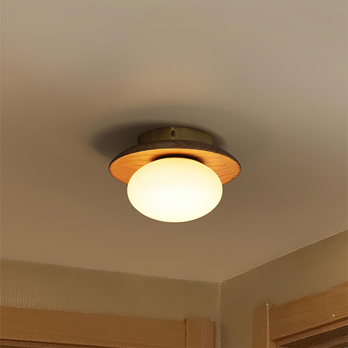 Avenoreria Ceiling Light
