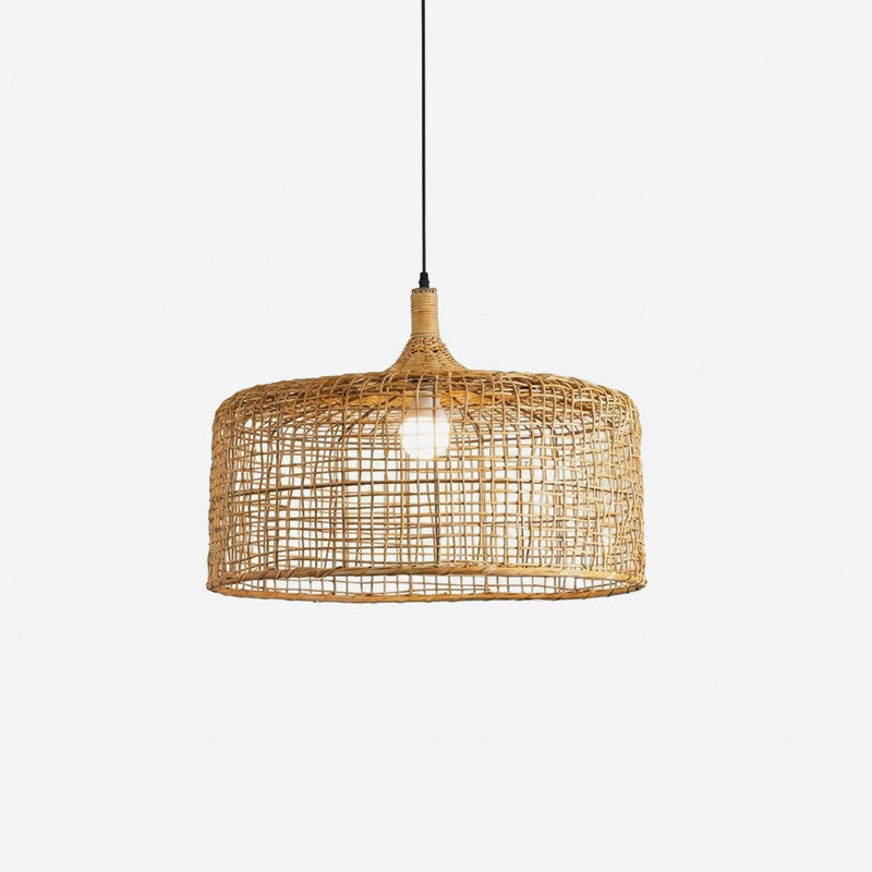 Reneraine Pendant Light
